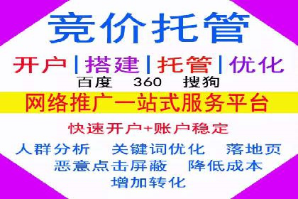 揭秘SEM竞价托管：实战案例深度解析